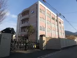 宇和島看護